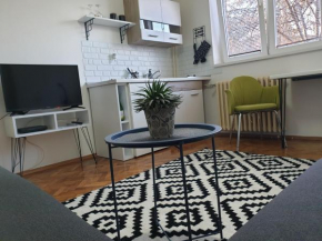 Apartman Park Jagodina-studio u centru grada